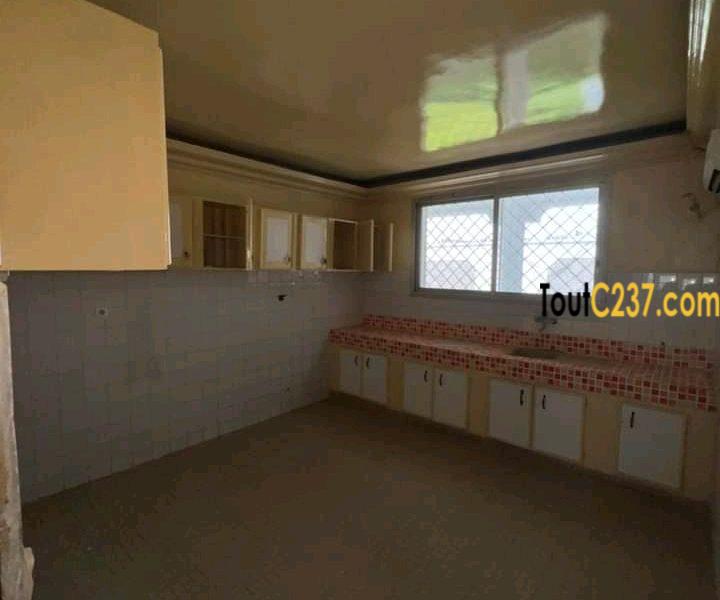 Duplex des cadres à louer à Bonapriso