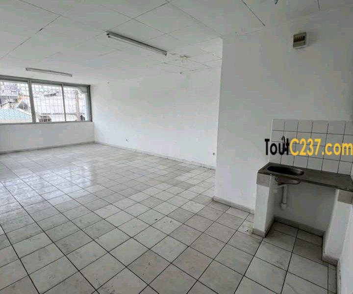 Duplex des cadres à louer à Bonapriso