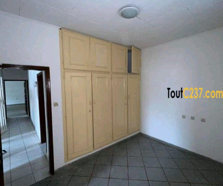 Duplex des cadres à louer à Bonapriso