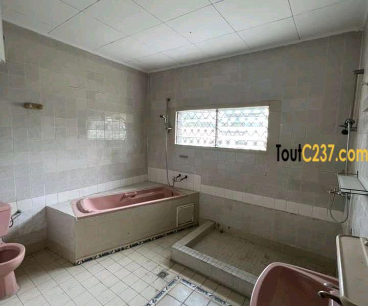 Duplex des cadres à louer à Bonapriso