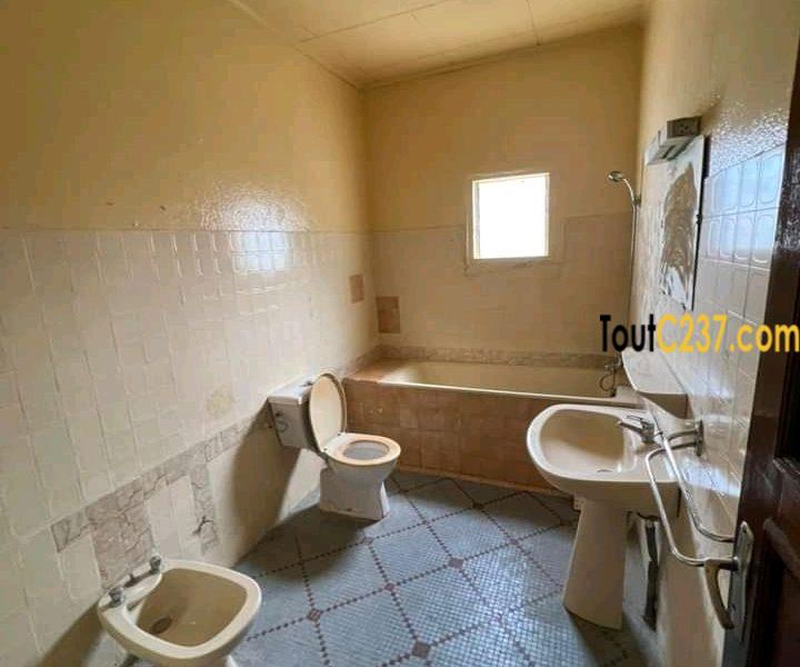 Duplex des cadres à louer à Bonapriso