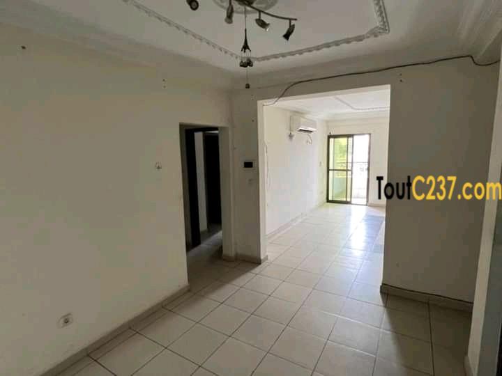 Appartement moderne à louer à Bali Douala