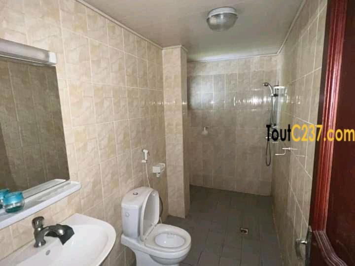 Appartement moderne à louer à Bali Douala