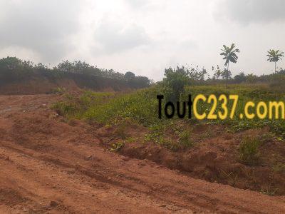 Terrain à vendre à Yassa (Proche de la route)