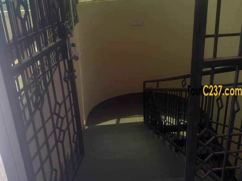 Sublime Appartement Neuf à louer à Saint Michel (Grand Mall)