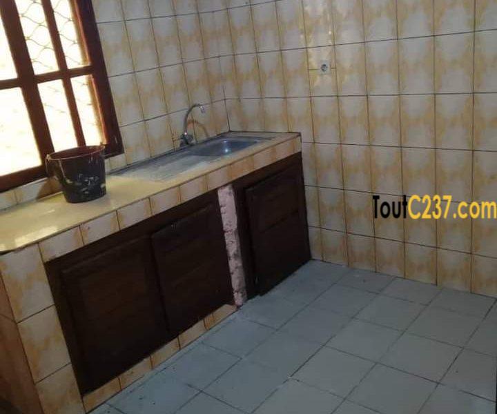 Appartement à louer à Bonamoussadi