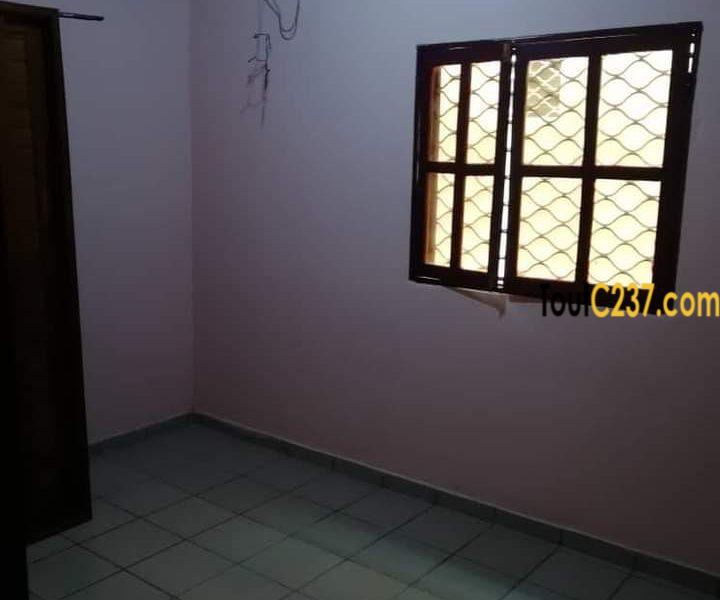 Appartement à louer à Bonamoussadi