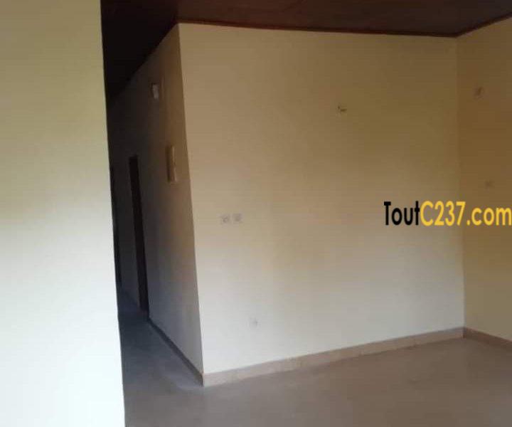 Appartement à louer à Bonamoussadi