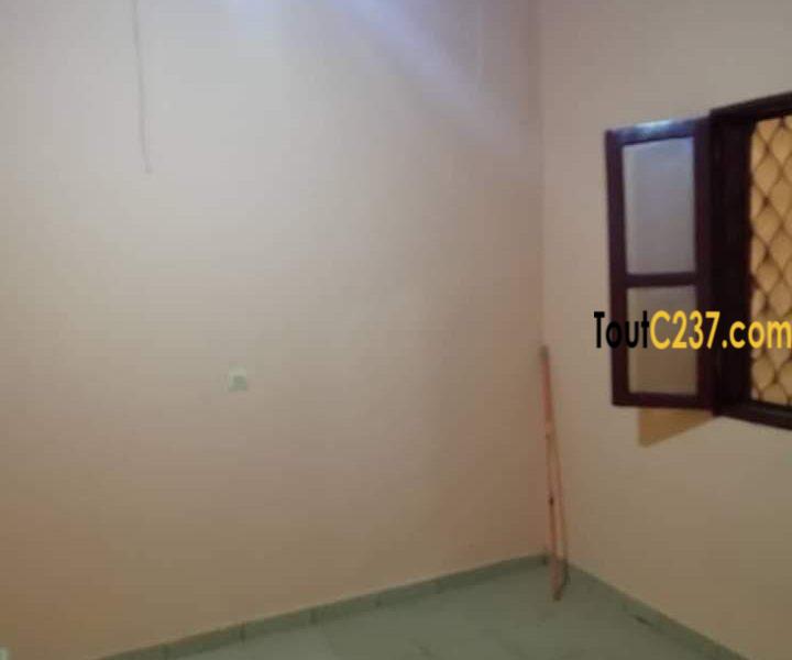 Appartement à louer à Bonamoussadi