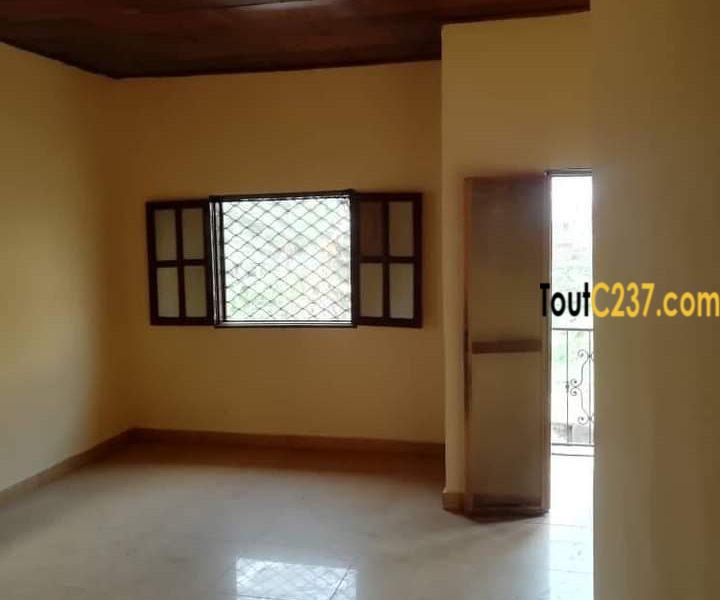 Appartement à louer à Bonamoussadi