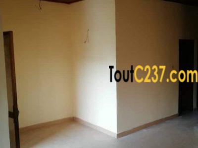 Appartement à louer à Bonamoussadi