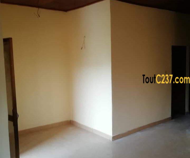 Appartement à louer à Bonamoussadi