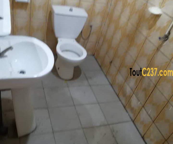 Appartement à louer à Bonamoussadi