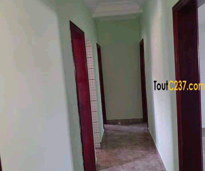 Appartement à louer à Makepe