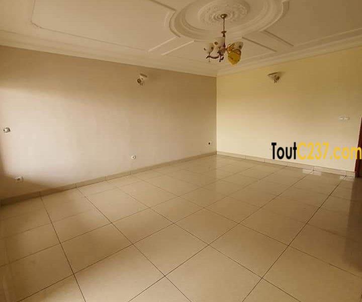 Appartement Neuf à Louer à Bonamoussadi