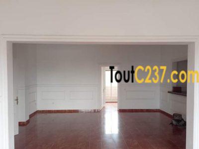 Appartement présidentiel à louer à Bonanjo