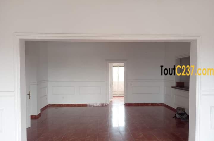 Appartement présidentiel à louer à Bonanjo