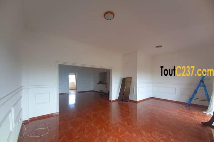 Appartement présidentiel à louer à Bonanjo
