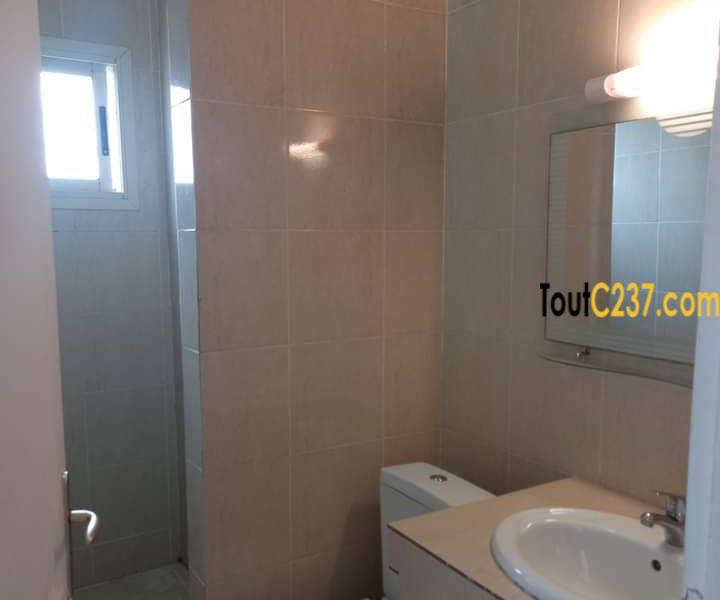 Appartement présidentiel à louer à Bonanjo