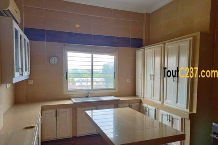 Appartement présidentiel à louer à Bonanjo
