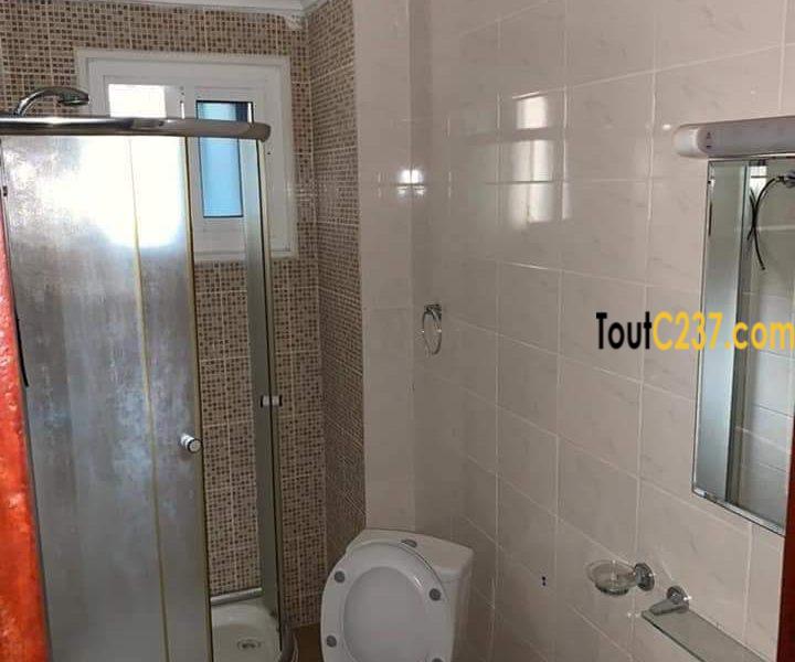 Appartement avec piscine à louer à Bonanjo