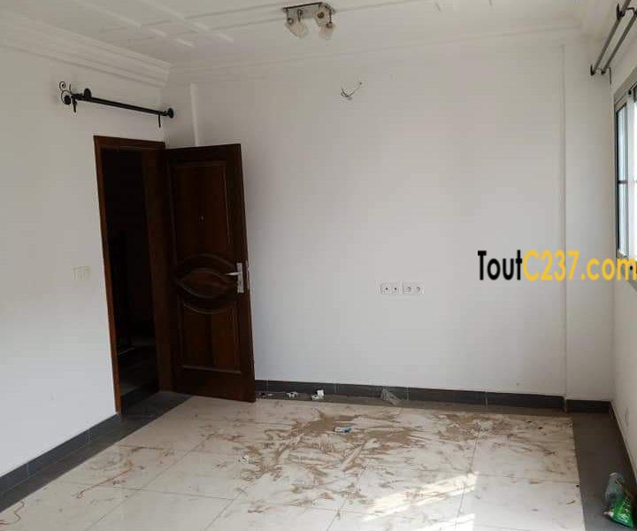 Studio moderne à louer à Makepe