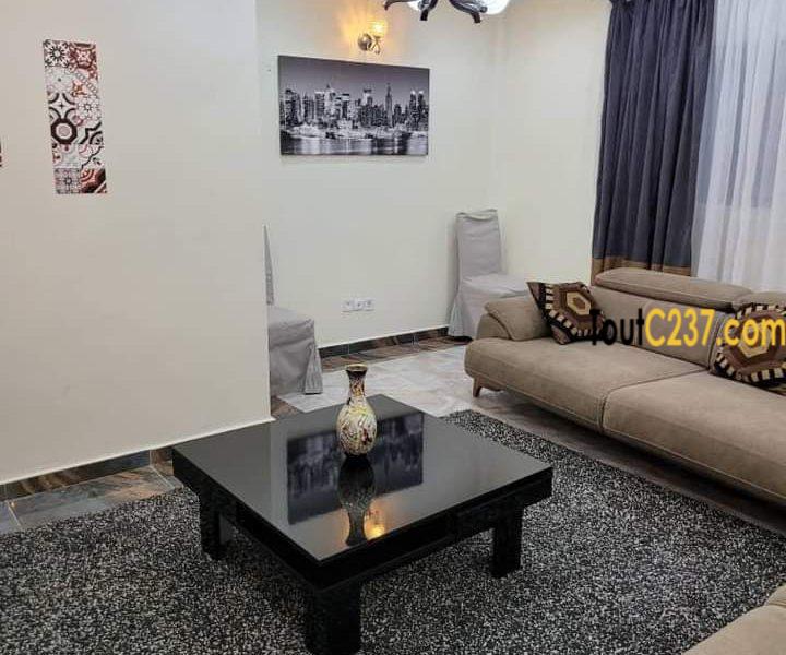 Appartement meublé 2 chambres à bonapriso