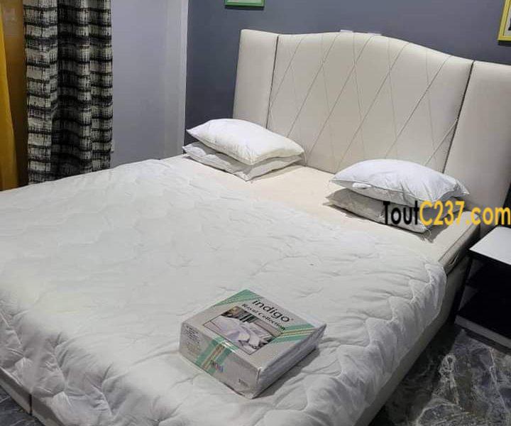 Appartement meublé 2 chambres à bonapriso