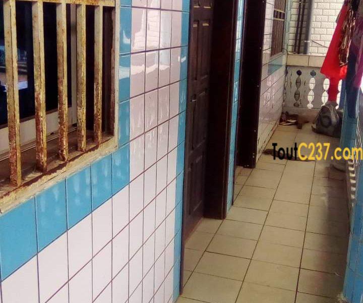 Immeuble à vendre à Kotto Douala