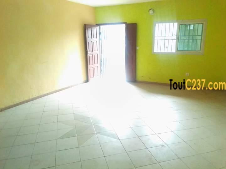Immeuble à vendre à Kotto Douala