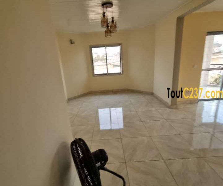 Appartement à louer à Kotto Douala