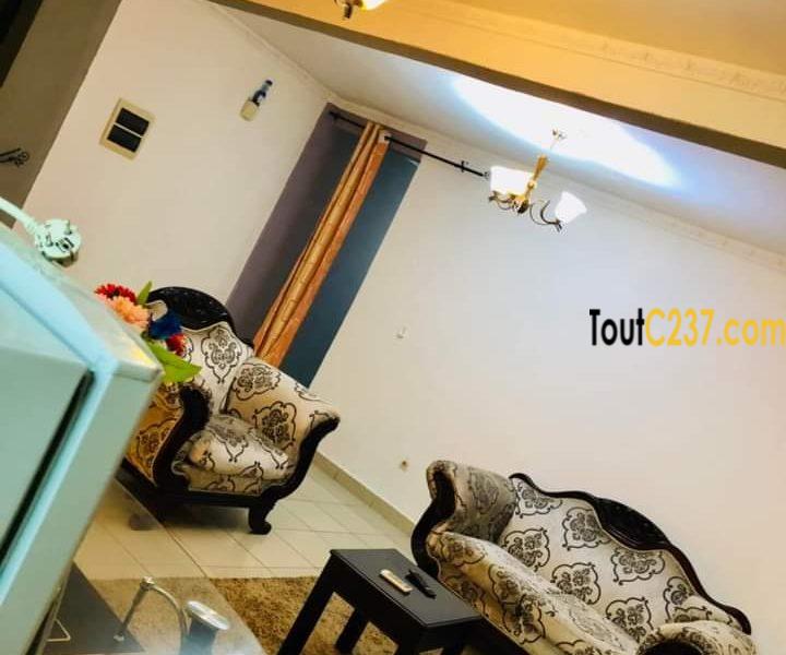 Appartement meublé à louer à Kotto Douala