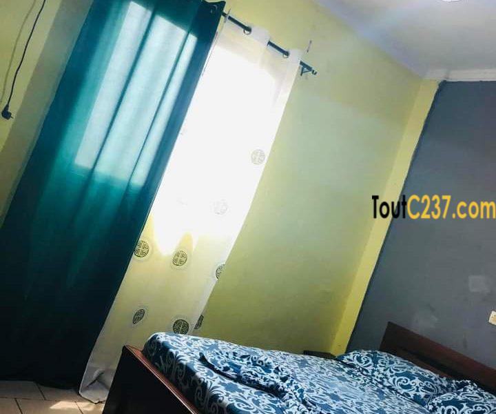 Appartement meublé à louer à Kotto Douala