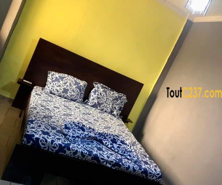 Appartement meublé à louer à Kotto Douala