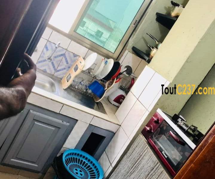 Appartement meublé à louer à Kotto Douala