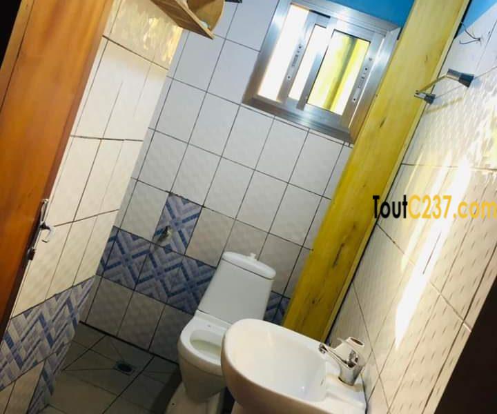 Appartement meublé à louer à Kotto Douala