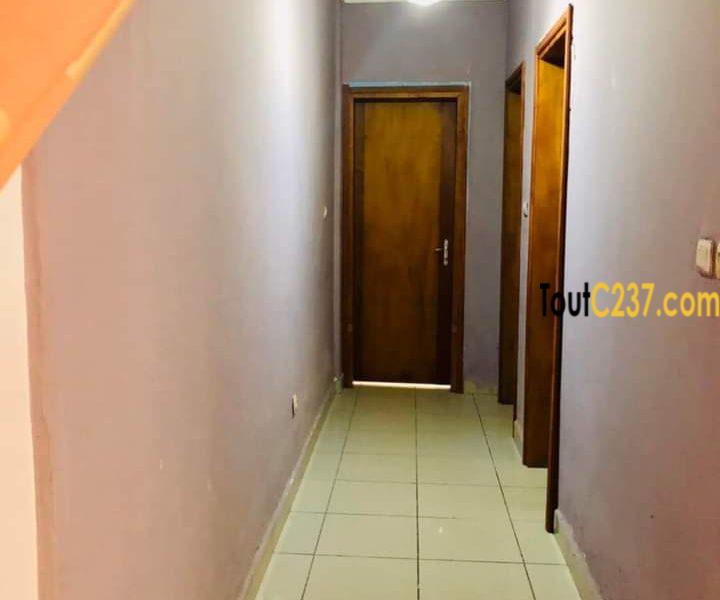 Appartement meublé à louer à Kotto Douala