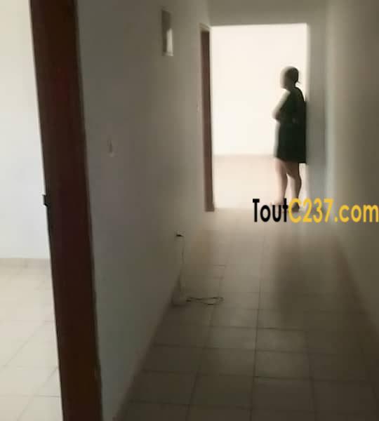 Appartement à louer à Logpom Andem