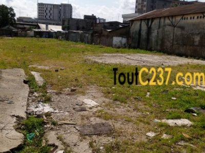 Terrain commercial à vendre à Akwa Douala