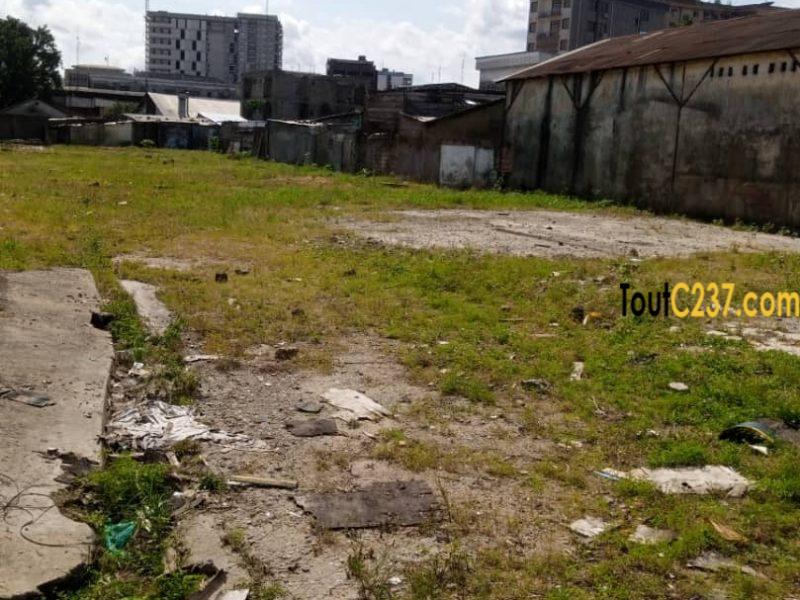 Terrain commercial à vendre à Akwa Douala