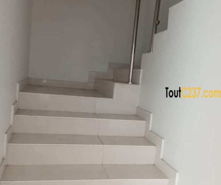 Duplex Neuf à louer