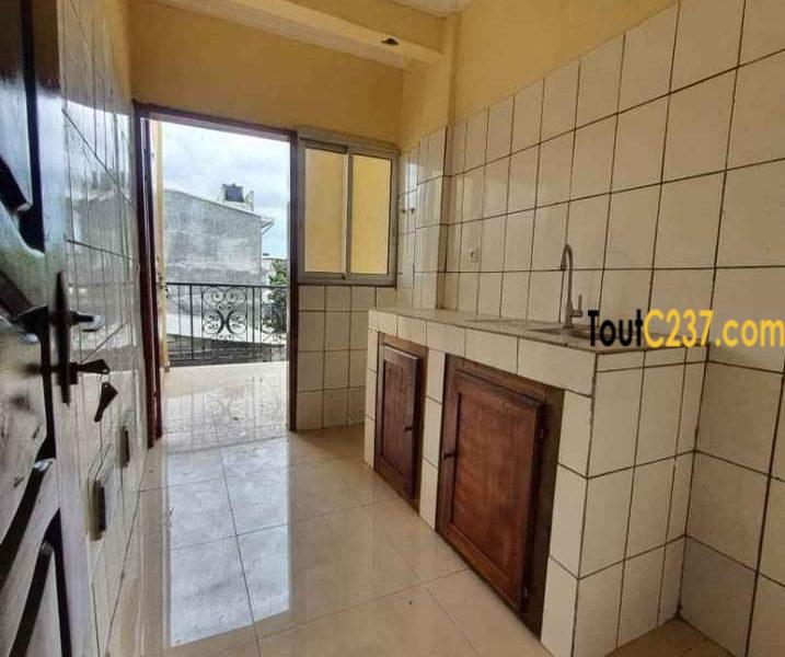 Appartement neuf à louer à Deido