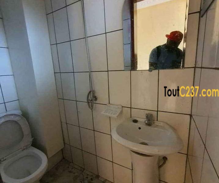 Appartement neuf à louer à Deido