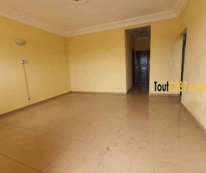 Appartement neuf à louer à Deido