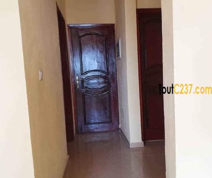 Appartement neuf à louer à Deido