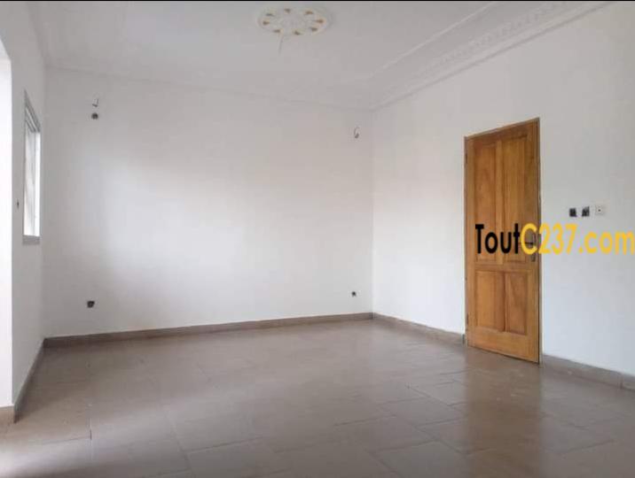 Appartement à louer à Bonamoussadi