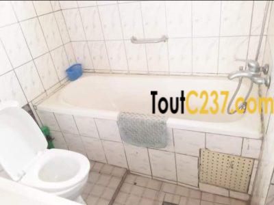 Appartement à louer à Bonamoussadi