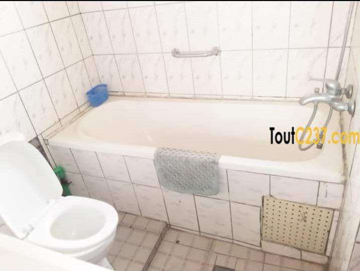 Appartement à louer à Bonamoussadi