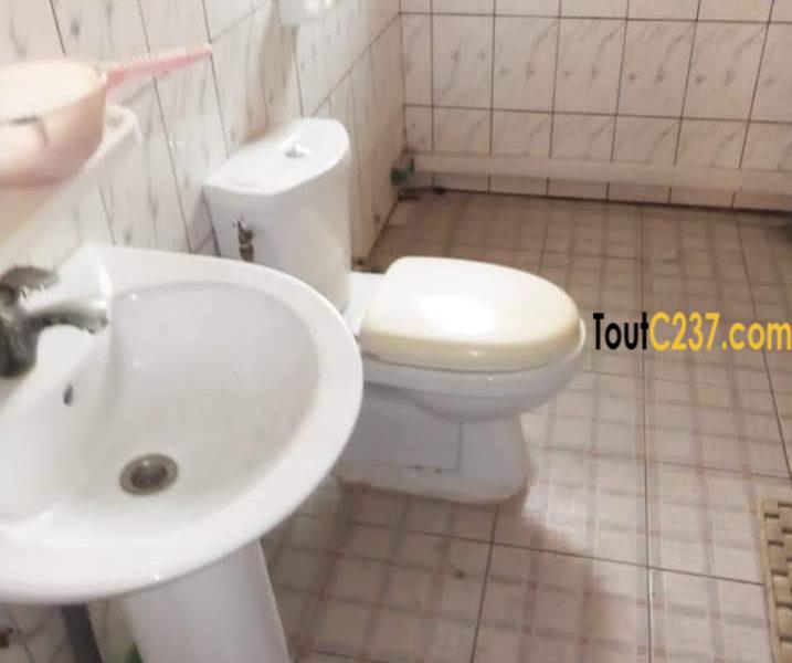 Appartement à louer à Bonamoussadi