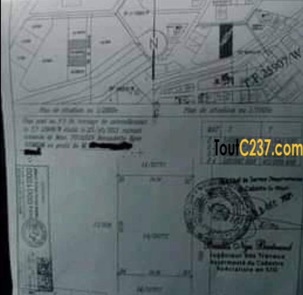 Terrain à vendre à Bonamoussadi